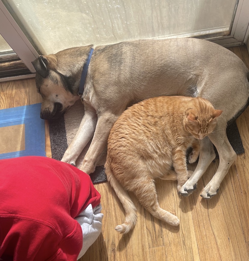 Mocha, Max, and Princess together